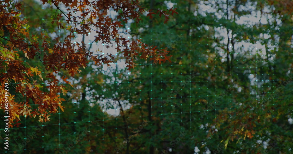 Poster scanning forest canopy showing orange and green leaves with translucent grid overlay and nodes