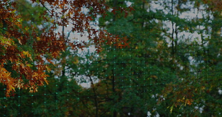 Scanning forest canopy showing orange and green leaves with translucent grid overlay and nodes