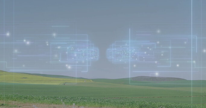 Fototapeta Displaying two semi-transparent network overlays hovering above farmland, with virtual connectivity