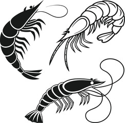 Elegant Shrimp Trio A Seafood Delight Depicted in Black and White Vector Art Perfect for Culinary or Marine Themes