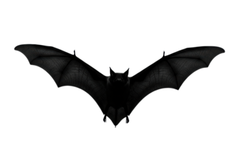 Solitary black bat silhouette with fully extended wings in dynamic mid-flight, anatomically correct, isolated against a transparent background with ample copy space, no shadows, studio light,