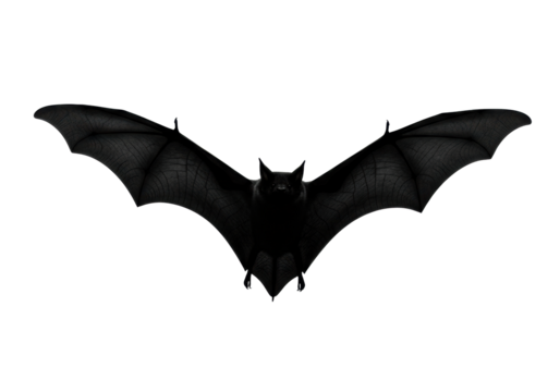Solitary black bat silhouette with fully extended wings in dynamic mid-flight, anatomically correct, isolated against a transparent background with ample copy space, no shadows, studio light,