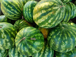 Pile of watermelons on farmer's market, fresh fruits display, vibrant local produce, healthy eating. Summer ripe seasonal harvest. Close-up.