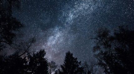Stunning Night Sky with Dense Star Patterns Over a Forest Landscape