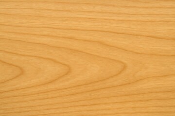 Fototapeta premium Close up of a light brown wood grain with subtle wavy patterns and fine texture
