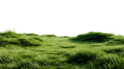 Lush green grass on rolling hills with shadows