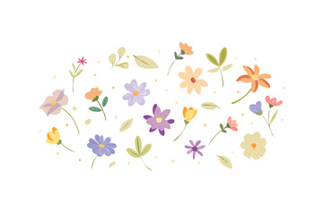 Watercolor floral scatter with soft colors