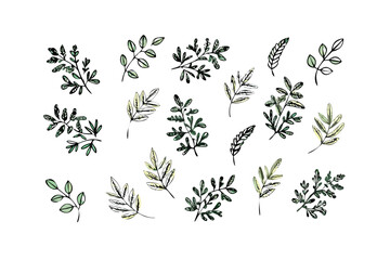 Black and white leaf sprigs pattern