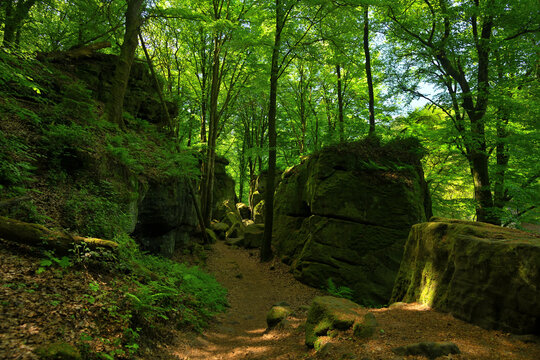 Ein Wanderweg f&uuml;hrt durch einen Laubwald mit frischen Gr&uuml;n und der Weg wird ges&auml;umt von den typischen Sandsteinfelsen des M&uuml;llerthal in Luxemburg.