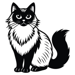 birman vecror cat