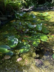 water flowing into the river