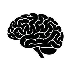 Human brain silhouette illustration isolated on white background representing intelligence consciousness memory and neurological function ideal for medical education and healthcare marketing materials