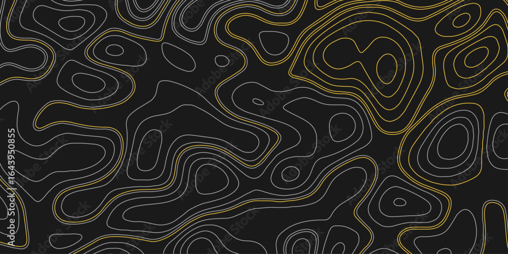 Poster topographic line map pattern. contour and textured background of geographic cartography terrain for 