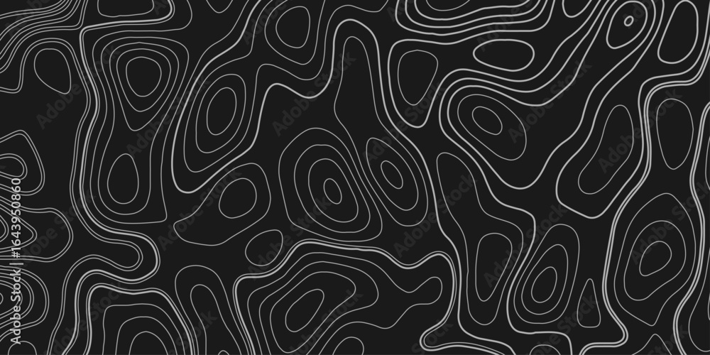Poster geographic mountain relief. abstract lines background. topographic line map pattern. vector illustra