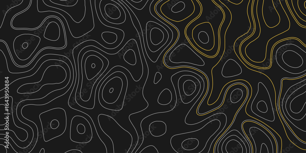Poster geographic mountain relief. abstract lines background. contour maps. vector illustration. vector abs
