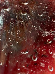 water drops on red background