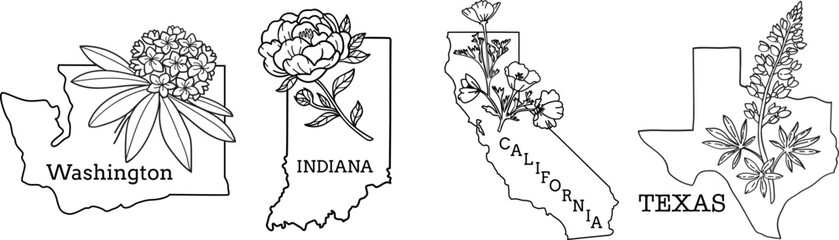 Maps with flower symbols of States Washington, Indiana, California, Texas. Vector line art
