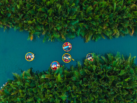Aerial view of colorful basket boats in lush greenery of hoi an river, vietnam