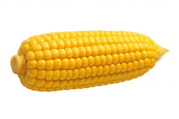 Golden corn cob displaying plump, sun-kissed kernels against transparent backdrop, highlighting agricultural harvest detail