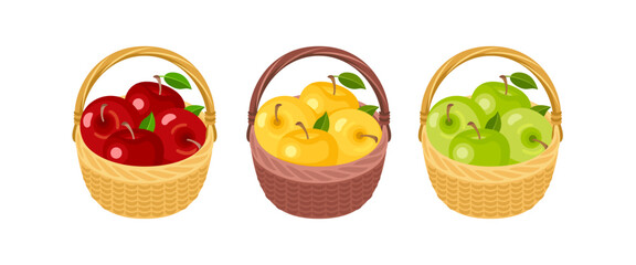 Apples in wicker baskets. Set of yellow, green and red apples. Vector cartoon flat illustration. Fruit Harvest icon.