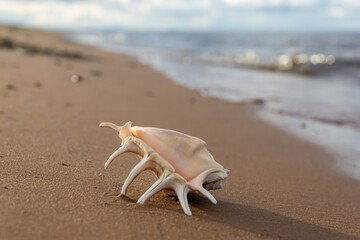 Beautiful landscape, Gulf of Finland early in the morning.