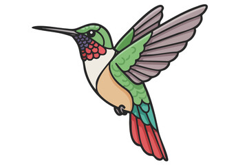 Obraz premium A vibrant hummingbird illustration, detailed and stylized, showcases its beauty against a soft teal background. Perfect for logos, websites, and illustrations.