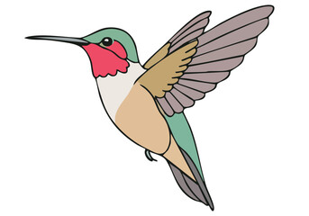 vibrant hummingbird illustration symbolizing freedom and flight Clean lines and a pastel background create a modern uplifting design Perfect for branding and creative projects