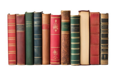 Books standing in a row on transparent background, png