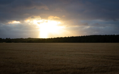 Coucher en champs