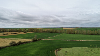 Fototapeta premium Rolling green fields under cloudy skies in Palencia