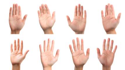 Four open hands with spread fingers on transparent background