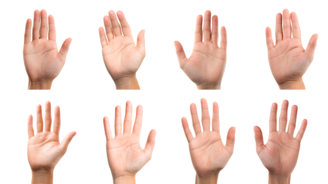 Four open hands with spread fingers on transparent background