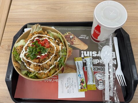 Bi Kase Karışık from Usta D&ouml;nerci, a nutritious and satisfying bowl featuring fluffy rice, golden fried potatoes, tender d&ouml;ner pieces, fresh lettuce, and tomatoes. July 2025.