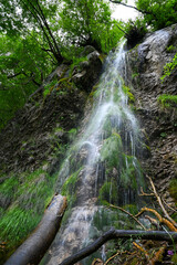 waterfall in the forest
