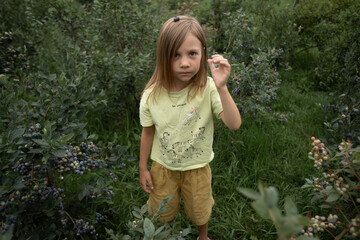 a blonde girl is standing among the blueberry bushes, holding a berry in her hand and placing a berry on her head