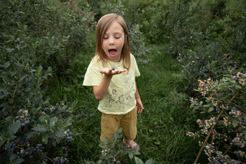 The girl is wearing orange shorts and a yellow T-shirt, and she's looking at a blueberry in her hand in surprise.