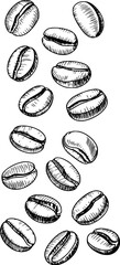 Scattered coffee beans sketch illustration
