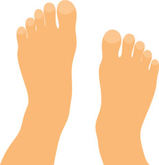 Illustration of Two Feet