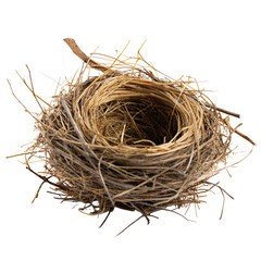 Obraz premium Nature's intricate bird nest structure with intertwined twigs showcasing wildlife craftsmanship