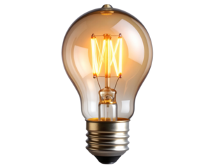  Firefly_lighted bulb, transparent background