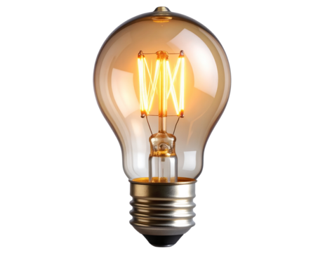  Firefly_lighted bulb, transparent background