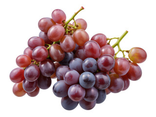 Fototapeta premium Fresh red and purple grape clusters 