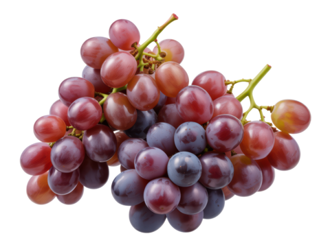 Fresh red and purple grape clusters
