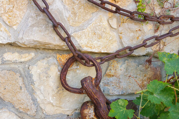 Rusty chain and metal ring attached to old stone wall with green leaves