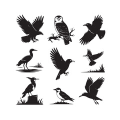Fototapeta premium Collection of diverse bird silhouettes in various poses and environments
