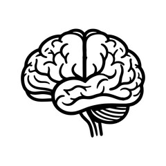 Human brain vector