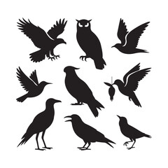 Fototapeta premium Collection of silhouetted birds of prey and crows in various poses