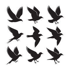 Obraz premium Silhouettes of nine black birds in various flying poses against a white background