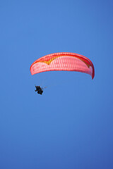 Flight red paraglider in blue sky parachute-wing