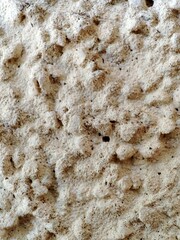 Wall